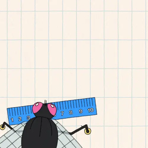 How Do Flies Land on the Ceiling? — still 2