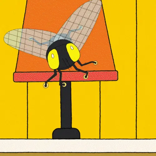 How Do Flies Land on the Ceiling? — still 4